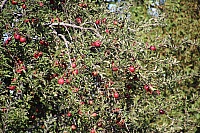 IMG_8257