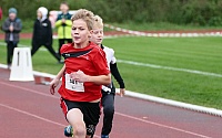 P1700026.JPG