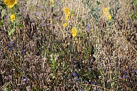 IMG_7839