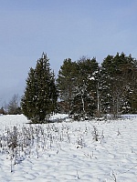 IMG-20210101-WA0002.jpg