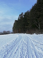 IMG-20210101-WA0005.jpg