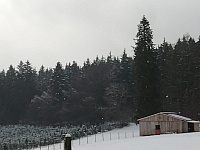 IMG-20210101-WA0006.jpg