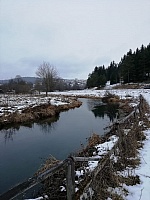 IMG-20210101-WA0010.jpg