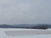 IMG-20210101-WA0013.jpg
