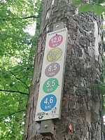 IMG-20200830-WA0003