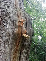 IMG-20200830-WA0007