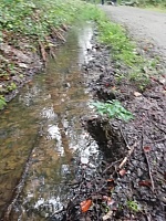 IMG-20200830-WA0017