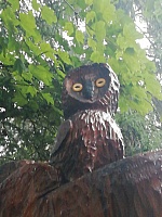 IMG-20200830-WA0020