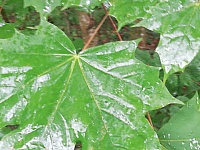 IMG-20200830-WA0022