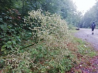 IMG-20200830-WA0027