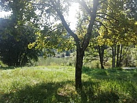IMG-20200913-WA0018