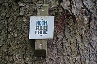 IMG_8064