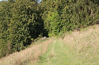 IMG_8067