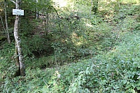 IMG_8074