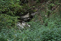 IMG_8075