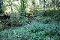 IMG_8076