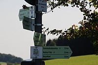 IMG_8082