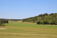 IMG_8083