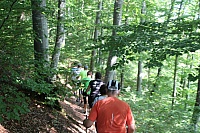 IMG_8090