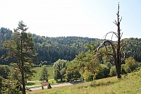 IMG_8113