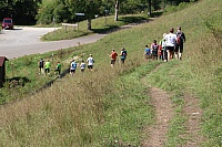 IMG_8116