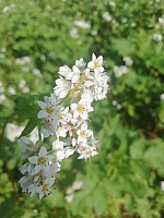 IMG-20200920-WA0007