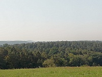 IMG-20200920-WA0008