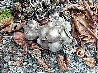 IMG-20200920-WA0014