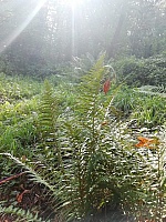 IMG-20200920-WA0030