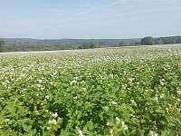IMG-20200920-WA0041