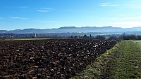 IMG-20201122-WA0006
