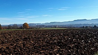 IMG-20201122-WA0007