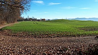 IMG-20201122-WA0011
