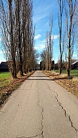 IMG-20201122-WA0012