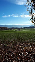 IMG-20201122-WA0013
