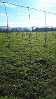 IMG-20201122-WA0016
