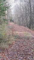 IMG-20201122-WA0021
