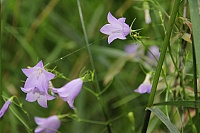 IMG_7873