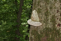 IMG_7879