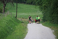 IMG_7881