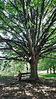 20210627_124259.jpg