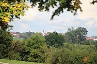 IMG_8874