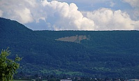 IMG_8875