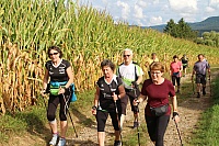 IMG_8877