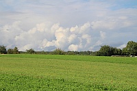 IMG_8881