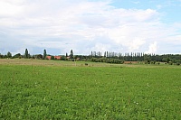 IMG_8887