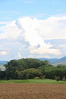 IMG_8888