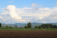 IMG_8890