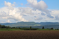 IMG_8891