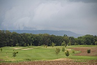 IMG_8904
